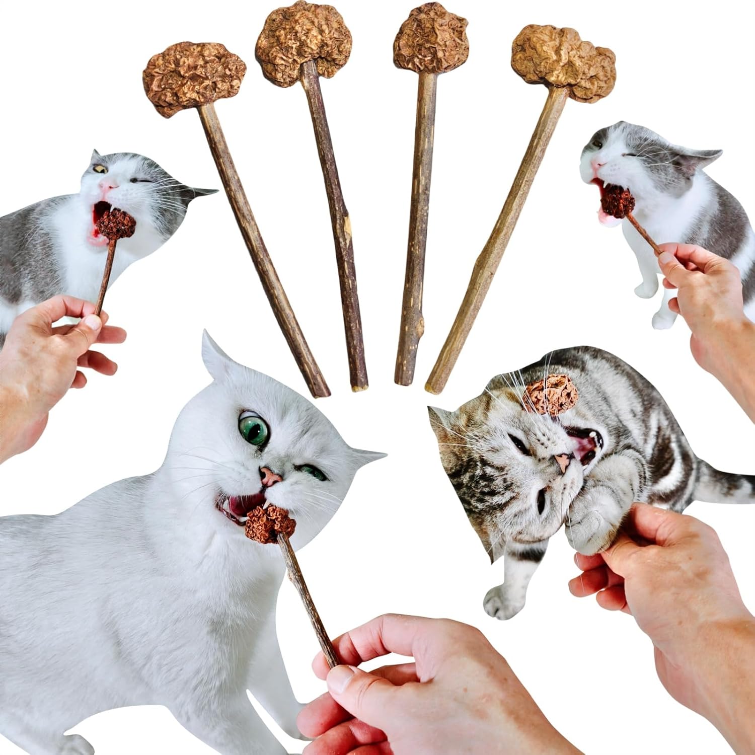 natural cat treats