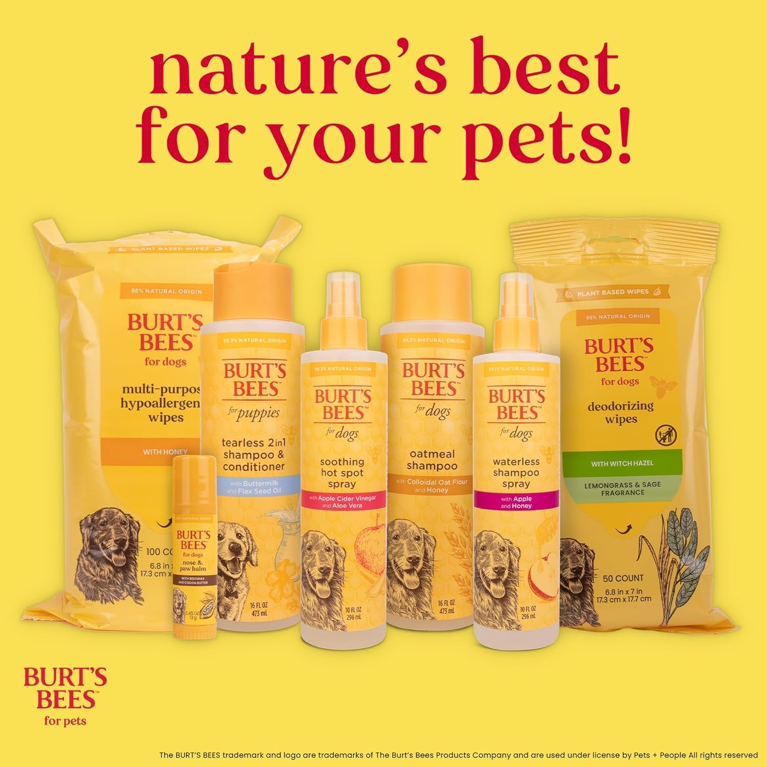 Burt's Bees for Pets Natural Ear Cleaner for Dogs with Peppermint and Witch Hazel, 99.7% Natural Origin Formula, Dog Ear Cleaning Solution for Dogs and Puppies, 4 Fl Oz - 2 Pack - Happypetzone.online - Image 9