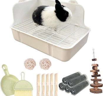 rabbit litter box setup