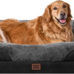 dog bed memory foam