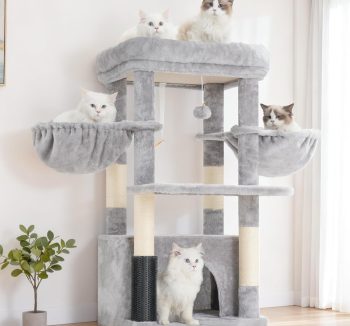 cat tree for big cats