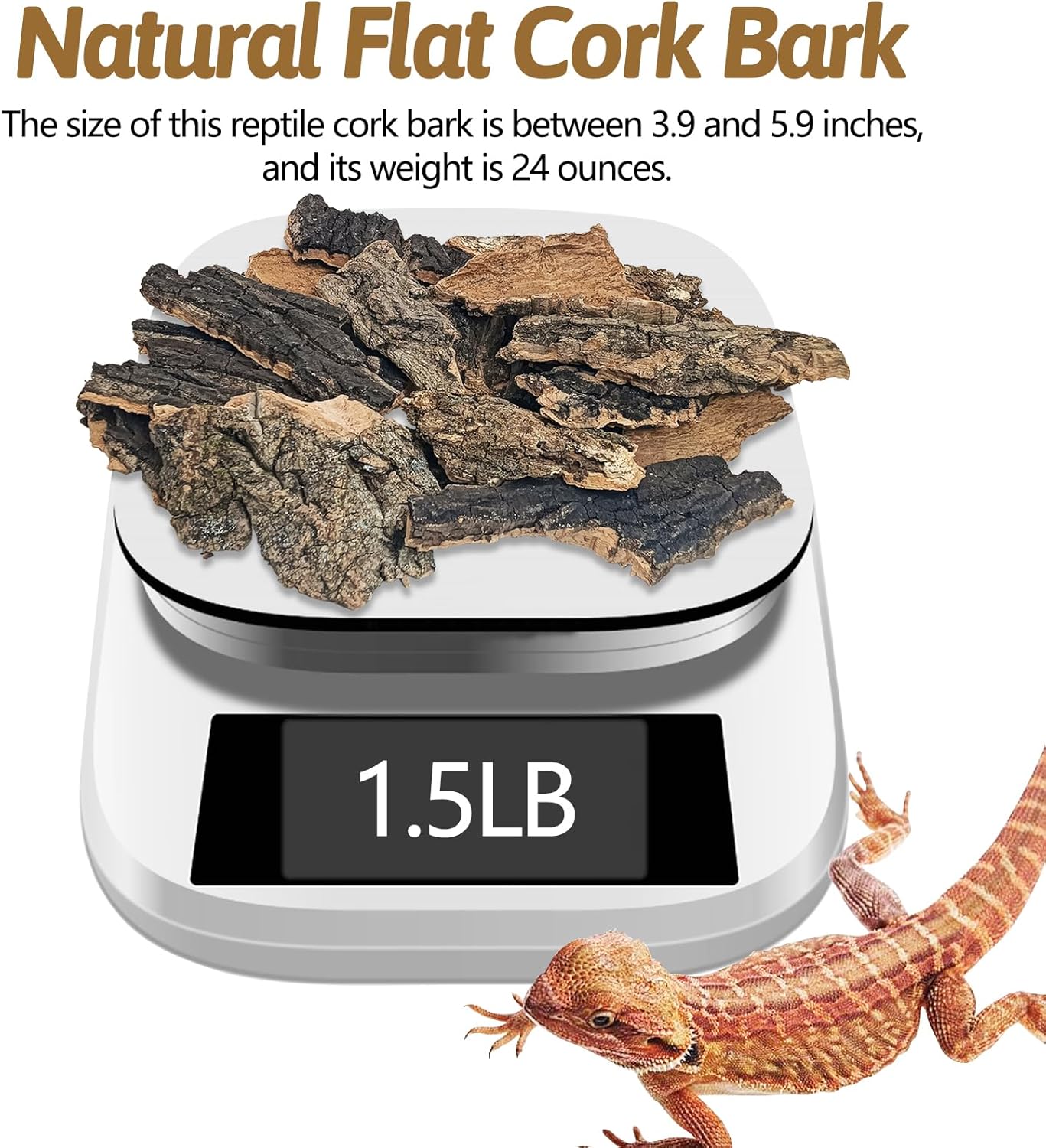 BNOSDM Reptile Cork Bark Substrate 1.5LB Lizard Bedding for Habitat Natural Flat Cork Wood Bulk Terrarium Reusable Bark Pieces for Chameleon, Ball Python, Crested Gecko, Spider, Tortoise, Tree Frog - Happypetzone.online - Image 2
