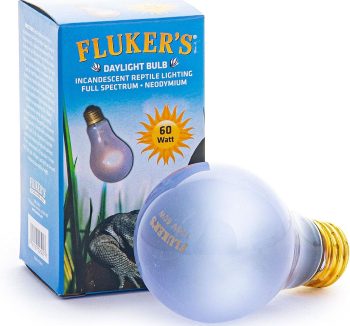 cheap reptile lighting amazon