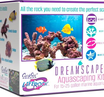 saltwater aquarium tank