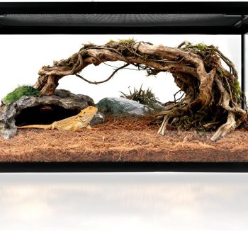 reptile tank amazon best