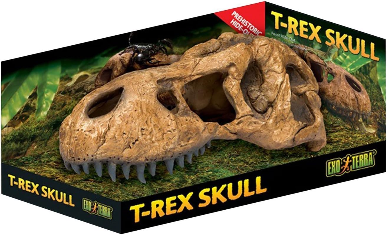 reptile terrarium decor