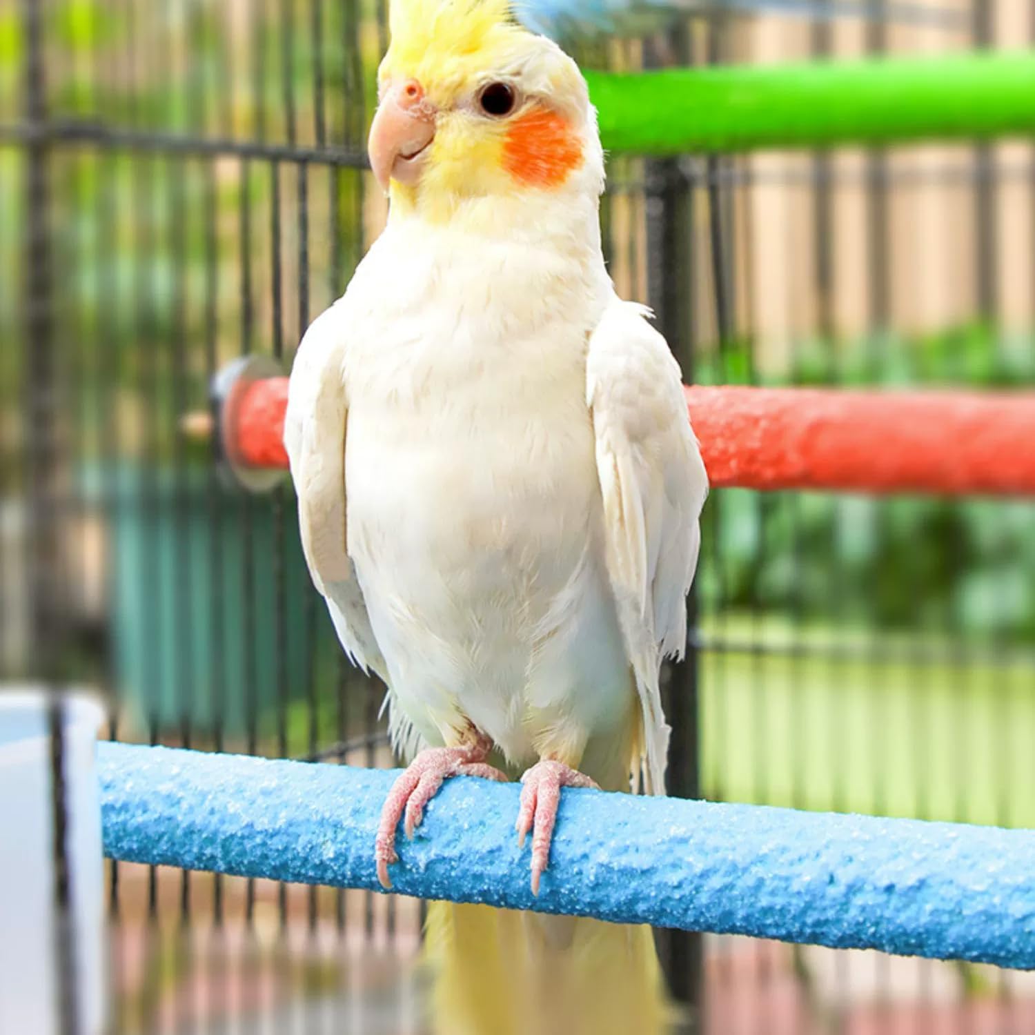Hamiledyi 4 PCS Parrot Perch Stand Toy 7.9x0.8inch Bird Cage Perch Natural Paw Grinding Stick for Medium Parrots Parakeets Cockatiels Lovebirds Chewing Stick (M) - Happypetzone.online - Image 3