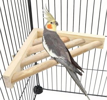 bird ladder perch