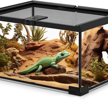 small reptile tank