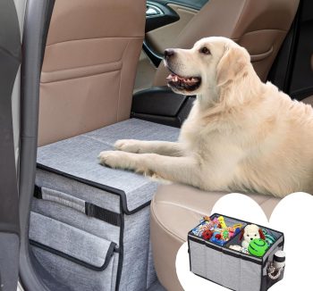 dog road trip essentials