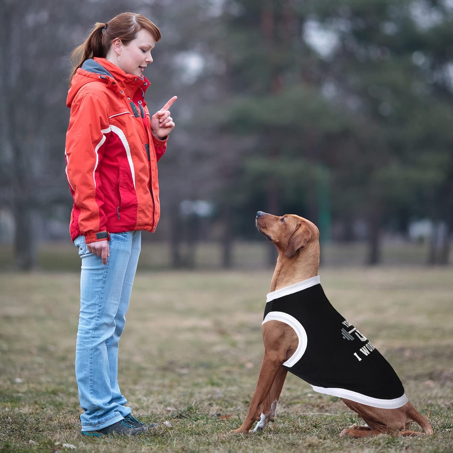 12 Pieces Dog Shirts Pet Printed Clothes with Funny Letters Summer Pet T Shirts Cool Puppy Vest Breathable Dog Outfit Soft Cat Sweatshirt for Chihuahuas Cats Accessories, 12 Styles(Large) - Happypetzone.online - Image 6