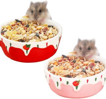 balanced small animal diet