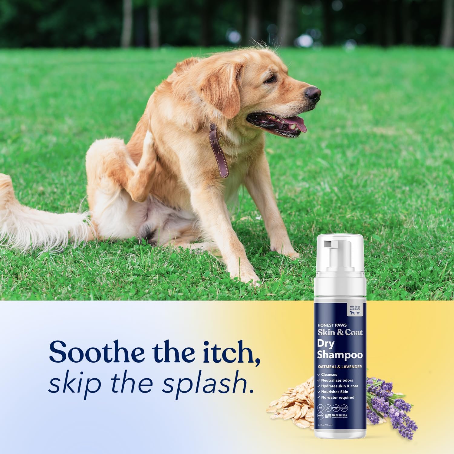 Honest Paws Dog Dry Shampoo - Waterless No Rinse Foaming Formula Reducing Itch Cleanse Hydrate Nourish Dry Skin and Smelly Coat Help Decrease Odor Shedding and Allergies - Oatmeal & Lavender - 6.3 oz - Happypetzone.online - Image 6