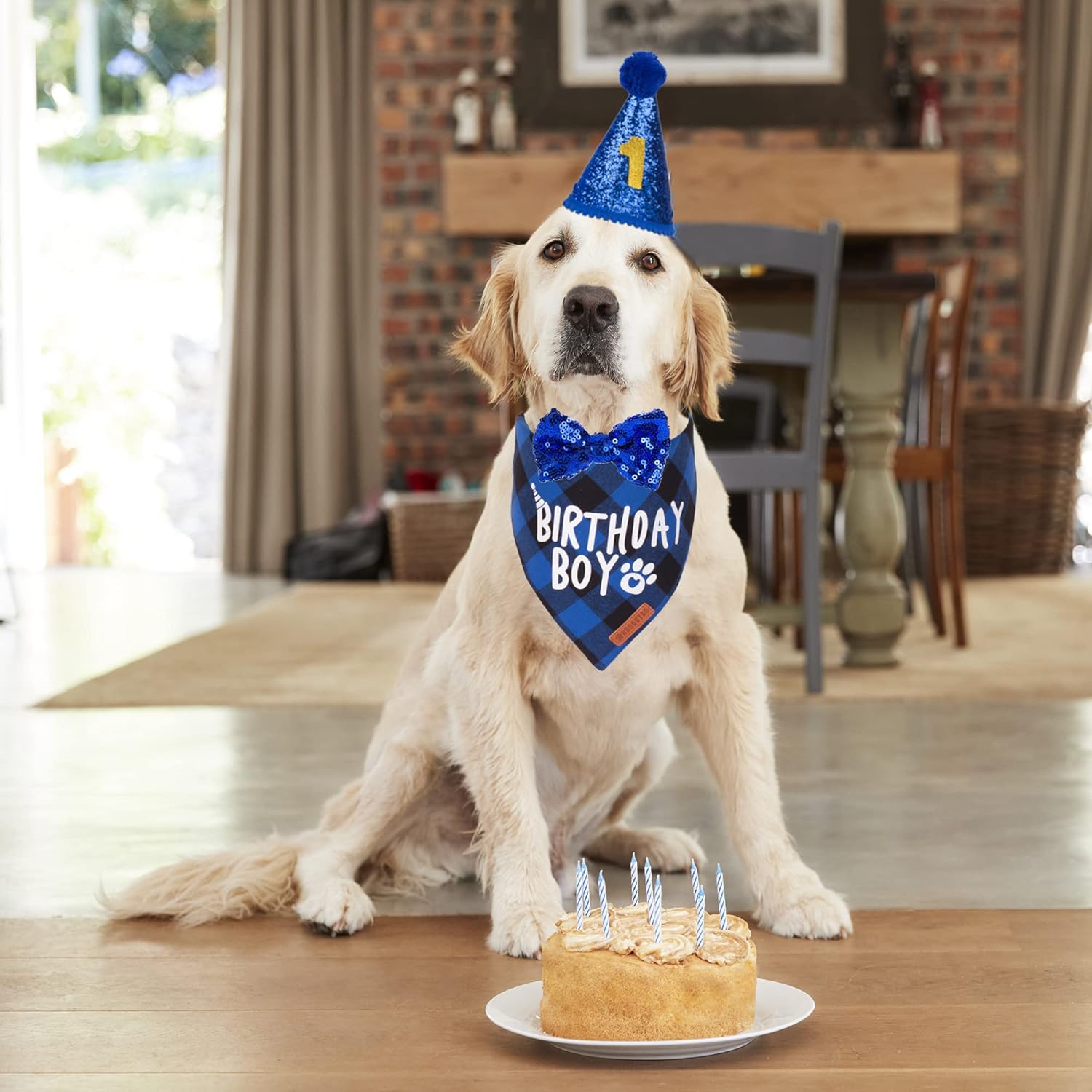 ADOGGYGO Dog Birthday Party Supplies, Multi Size Offered, Blue Dog Birthday Hat Bandana Numbers Bow Set for Large X-Large Dogs Pets (X-Large) - Happypetzone.online - Image 2