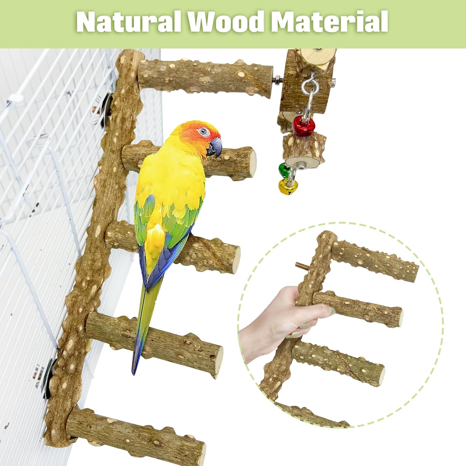 BNOSDM Natural Wood Bird Ladder Perch with Rotating Bell Toys-Exercise Stands for Parrot Climbing Chewing Parakeet Bridge Cage Accessories for Cockatiel, Conures, Lovebirds, Budgie - Happypetzone.online - Image 6