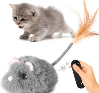 cat toys rechargeable