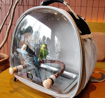 bird cage removable tray