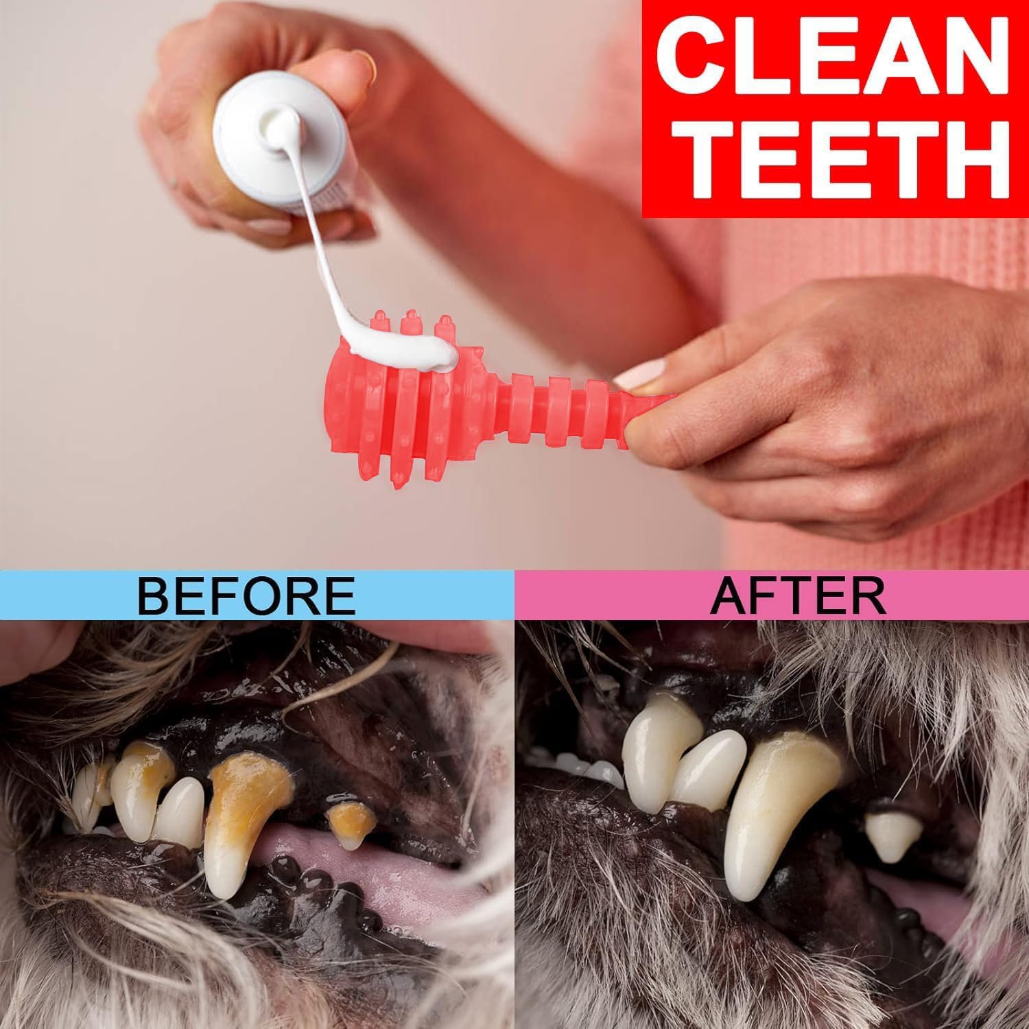 6 Pack Red Dog Chew Toys, Small Dog Teething Toys, Dental Health & Interactive Play - Happypetzone.online - Image 3