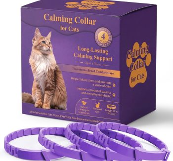 cat calming supplement