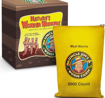 reptile food live