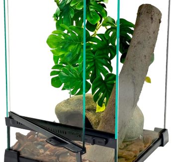 small reptile tank