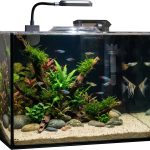 aquarium starter bundle