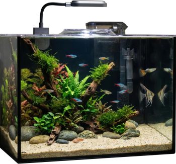 aquarium starter bundle