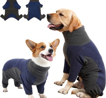 large dog clothes winter