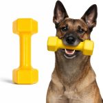 dog toys for aggressive chewers