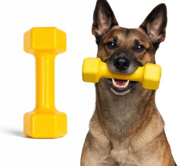 dog toys for aggressive chewers