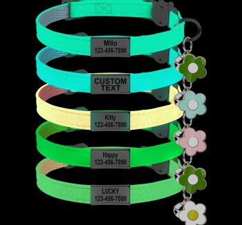 cat collar personalized
