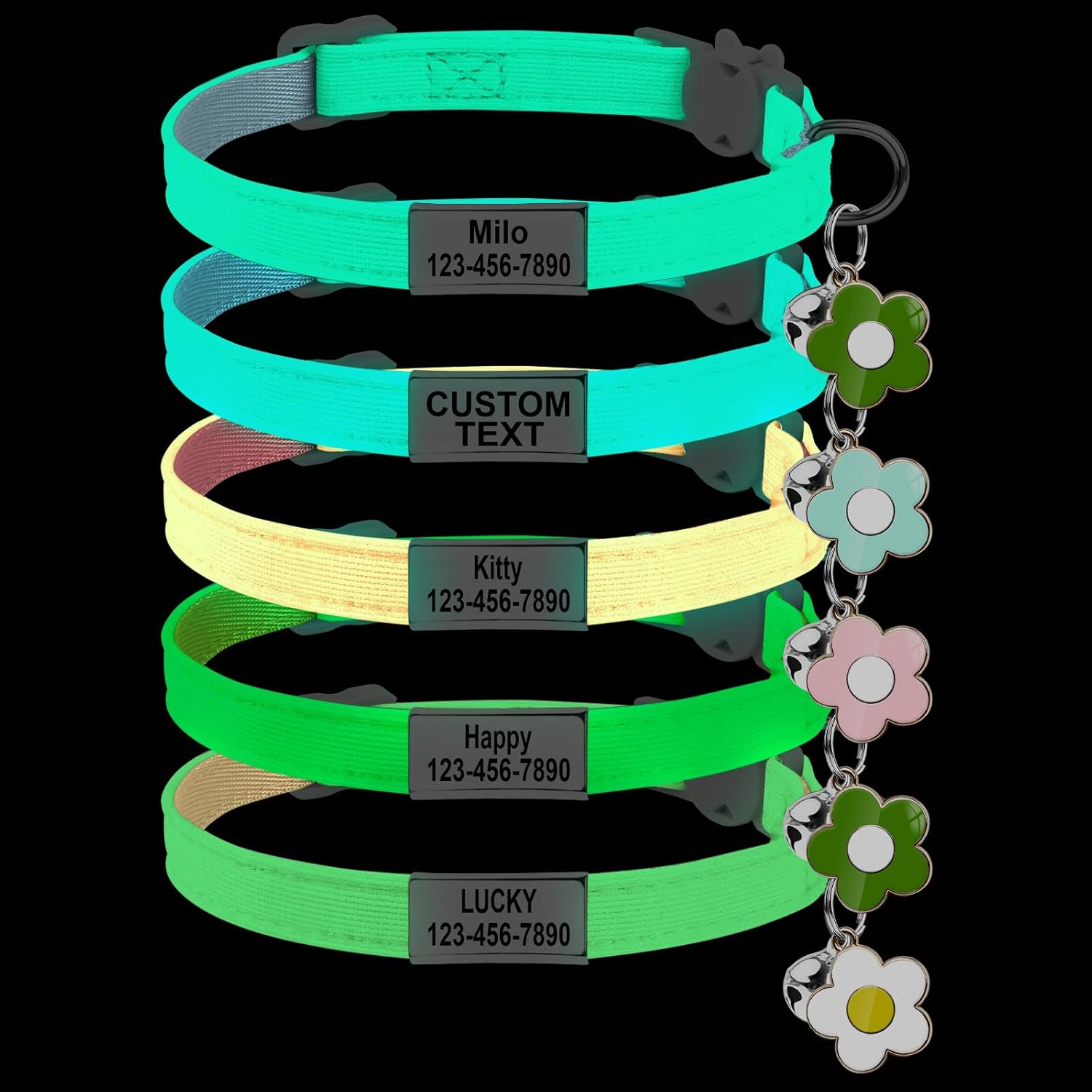cat collar personalized