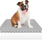 raised dog bed outdoor