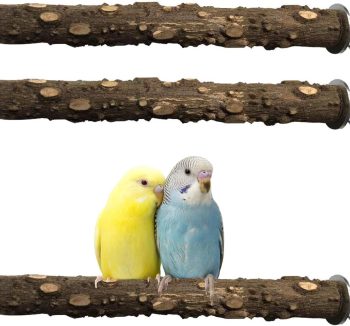 natural bird supplements