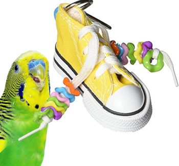 bird toys colorful