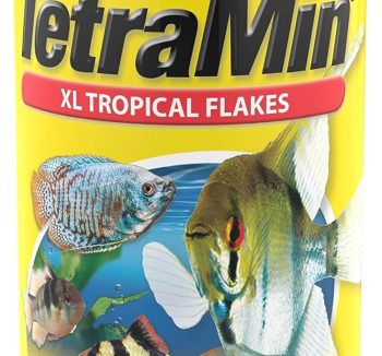 tropical fish food