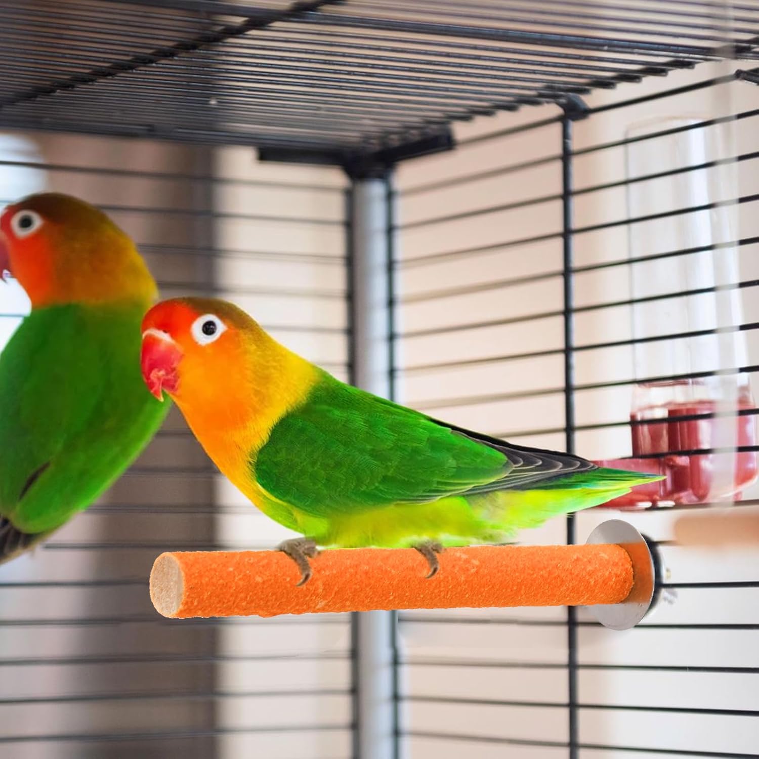 8 Pcs Bird Perch Stand Toy, Colorful Wood Parrot Perch Stand Platform Paw Grinding Stick, Bird Cage Accessories for Budgies,Parakeet,Cockatiel, Lorikeet, Conure - Happypetzone.online - Image 6