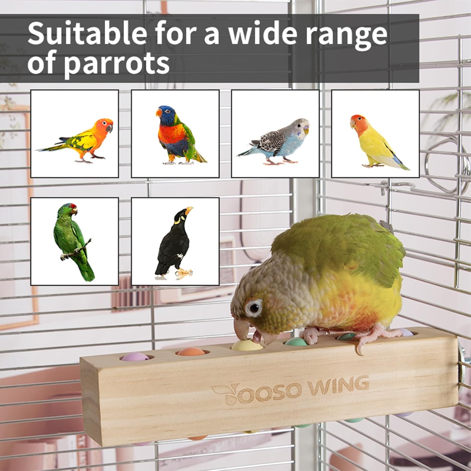 Bird Toys & Bird Perch, Bird Wooden Block Chewing Toy Parrot Foraging & Puzzle Toys Bird Cage Accessories for Conures Parakeets Cockatiels Lovebirds African Grey Macaws (Spinning Ball) - Happypetzone.online - Image 6