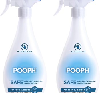 cat litter for odor removal