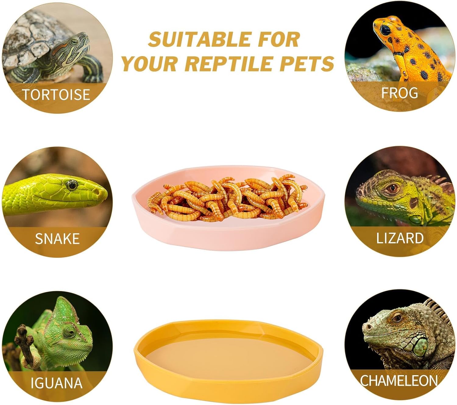 COMSUN 4 Pack Small Reptile Food Dish Bowl, Plastic Worm Water Dish Plate for Lizard Gecko Bearded Dragon Chameleon 4" W x 4" D x 0.5" H, Blue and Yellow - Happypetzone.online - Image 4