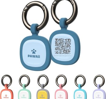 dog collar with name tag