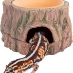 reptile hide cave