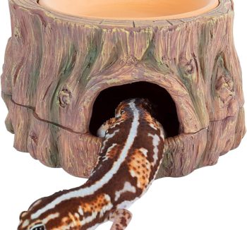reptile hide cave