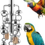 bird toys for large birds