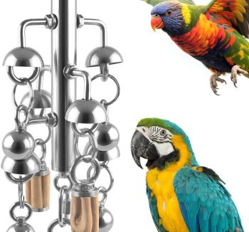 bird toys for large birds