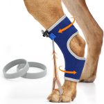 dog joint supplement