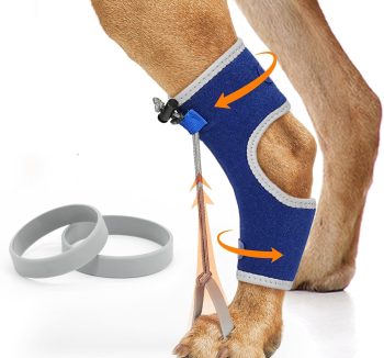 dog joint supplement