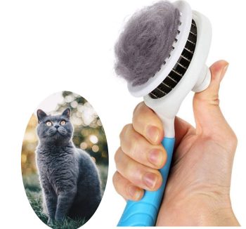cat brush for shedding