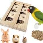 bird enrichment toys