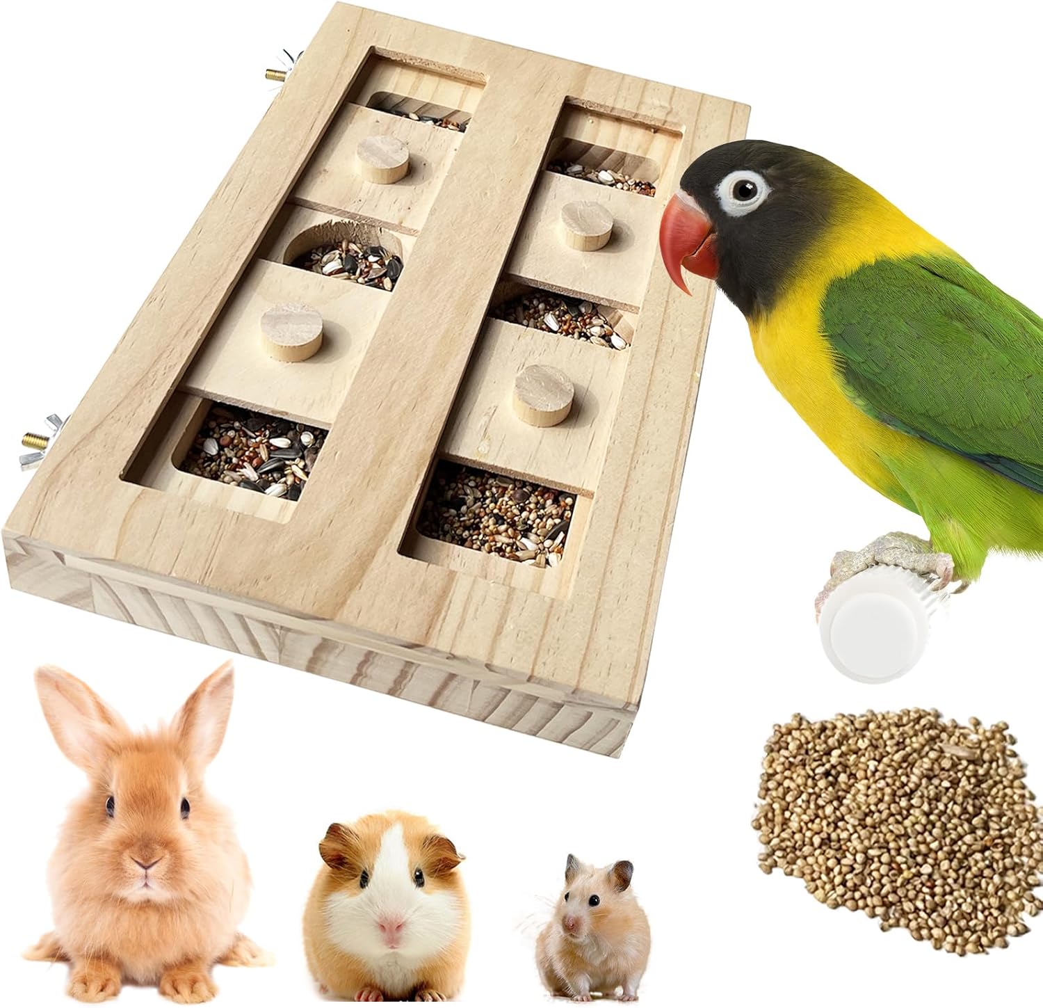 bird enrichment toys